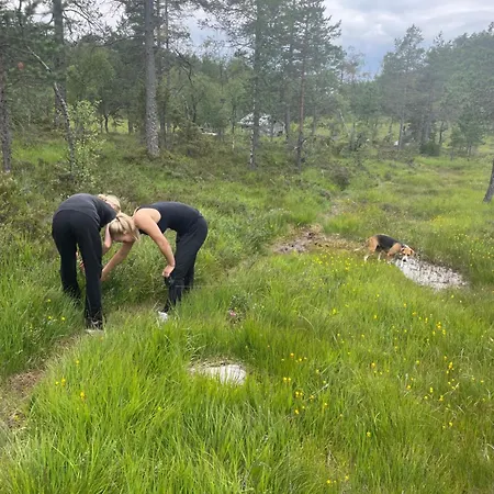 Campsite Fjellhytte