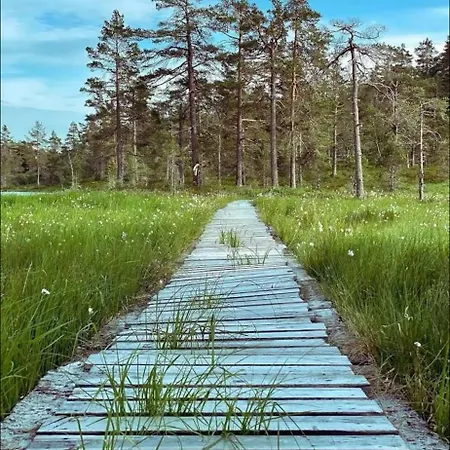 Fjellhytte Moi (Hornnes)